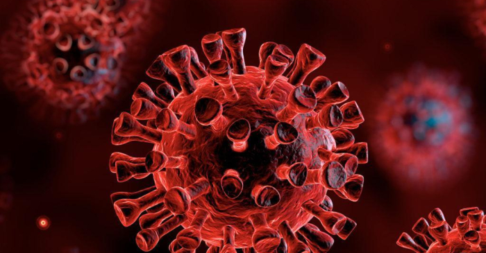 Коронавирус (COVID-19) – изменения в связи с пандемией